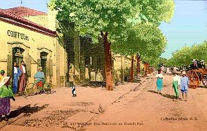 El Affroun - Rue Nationale
